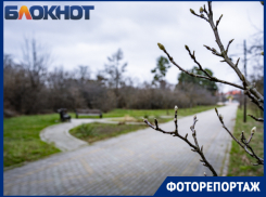 В Краснодаре показали редкие кадры опустевшего Ботанического сада 
