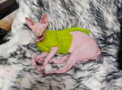 Минусовую температуру и снег спрогнозировали в Краснодарском крае