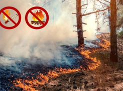 В Краснодаре объявили экстренное предупреждение из-за угрозы пожаров