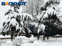 Снегопад, метель и гололед: мощный погодный «апокалипсис» надвигается на Кубань 