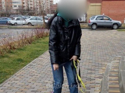 Краснодарка атаковала австралийскую овчарку перцовым баллончиком