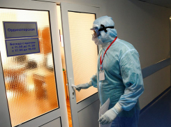 На Кубани за сутки подтвердилось 88 новых случаев заражения коронавирусом 