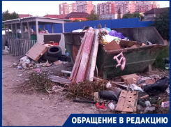 «Это просто экологическая катастрофа»: посёлок Российский в Краснодаре утопает в мусоре