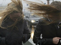  В Краснодаре из-за ураганного ветра объявили экстренное предупреждение 