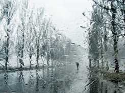 На Кубани обещают холодное начало весны