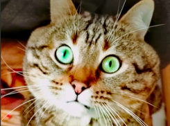  Ливни не собираются покидать Краснодарский край