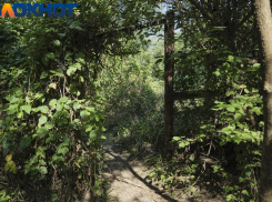 В МЧС предупредили о надвигающихся на Кубань ливнях с грозами, градом и шквалистым ветром