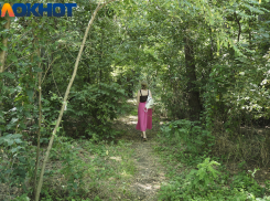 В Краснодаре «Берегокубанский лес» станет особо охраняемой территорией отдыха