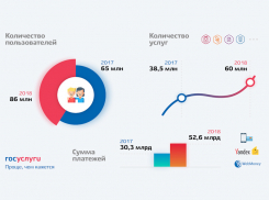 За 2018 год число пользователей портала Госуслуг возросло на 30%
