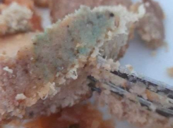 В Краснодаре в школе №29 детей «кормят» котлетами с плесенью