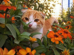 Дождь и до +32: коротко о погоде на Кубани 