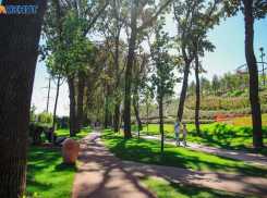 Аномальное тепло нахлынет на Краснодар в октябре