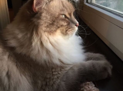  На Кубани снова обещают дожди и даже мокрый снег 