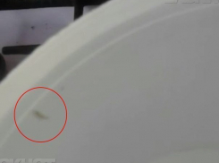  «И на рыбалку ходить не надо», - в Новороссийске из крана потекла вода с креветками 