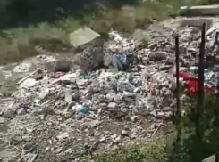 «Выродки устроили помойку», - краснодарцы нашли новую свалку в городе