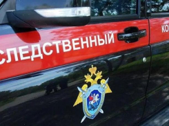  Уголовное дело возбудили после обнаружения на свалке тела младенца в Темрюкском районе