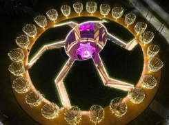 Тайны зазеркалья: сотрудники парка Галицкого раскрыли секреты лабиринта