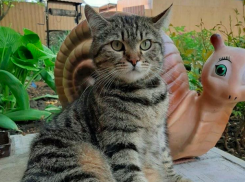 Грозовой фронт и ливни вернулись в Краснодарский край