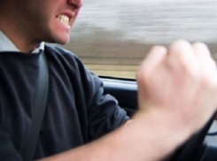 Краснодарец, ударивший кулаком гаишника, признал свою вину 