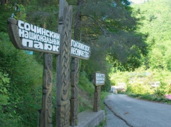 СМИ: по подозрению в коррупции задержан советник гендиректора сочинского нацпарка 