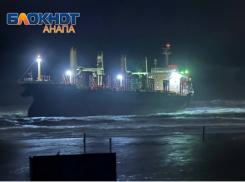 Туристам предлагают экскурсии к севшему на мель сухогрузу Blue Shark