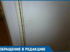 Плесень и холод – результат отопительного сезона в Краснодаре