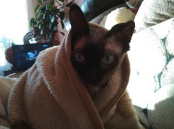 Губернатор Кубани распорядился дать тепло в дома до 9 ноября 