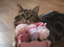 На Радоницу в Краснодаре будет облачно, но тепло 