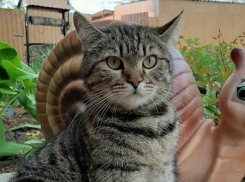 В Краснодарском крае спрогнозировали минусовую температуру 