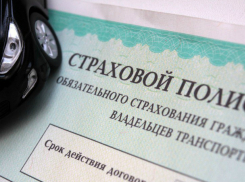 Часть краснодарцев имеет право на скидку 50 процентов на ОСАГО