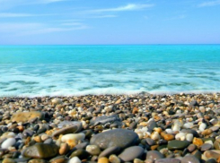 Кондратьев пожелал гостям «Новой волны» воспользоваться благами «бархатного сезона» на Кубани