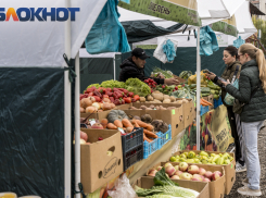 Стало известно, как менялась стоимость выживания в Краснодарском крае за год