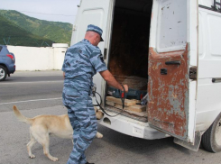 Во время службы скончался сотрудник конвоя в Краснодаре