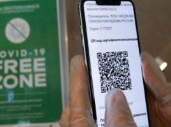 На Кубани готовы ввести систему QR-кодов для посещения общепита