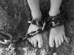 «Сексуальное рабство в самом центре Сочи» требует проверки 