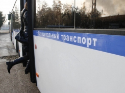 В Краснодаре запустят 98 олимпийских автобусов