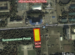 Возле Чистяковской рощи в Краснодаре не будут возводить гостиницу