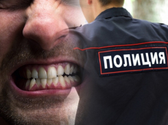 Палец в рот не клади: жителя Славянска-на-Кубани посадили за покусанного полицейского