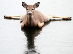 15 краснодарцев стали жертвами гололеда за неделю