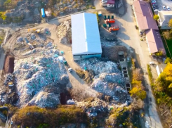 Жители Краснодара обратились к новому мэру из-за уродливой свалки в центре города