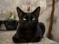 Выходной на Кубани испортят осадки 