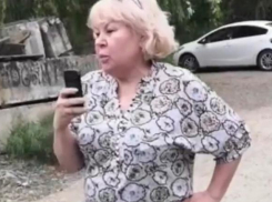 Ударившую девушку кубанскую судью не станут наказывать