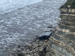 Морская прогулка на катамаране закончилась смертью и уголовным делом на Кубани