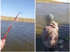 Заплутавший в реке краснокнижный дельфин попал на крючок к рыбаку на Кубани