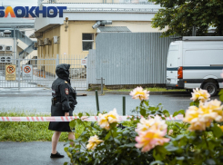 Экс-советник Зеленского Арестович* заявил об атаке БПЛА Краснодара 