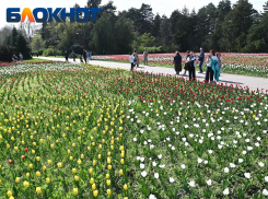 Резкие температурные скачки устроит погода в Краснодаре