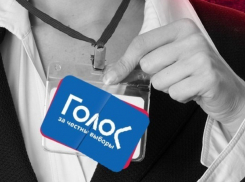 «Сфальсифицированные фальсификации за деньги»: кто и зачем хочет наблюдать за выборами в Краснодарском крае