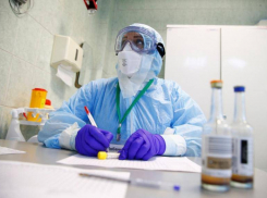 Число новых случаев заражения коронавирусом на Кубани меньше не становится 