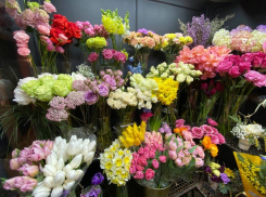 Цветочная лихорадка: в Краснодаре стоимость одной розы перед 8 марта подняли до 300 рублей