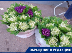 «Наказать губителей природы»: краснодарцы требуют остановить продажу ландышей
